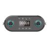 Wireless Bluetooth Speaker W-KING H10 S 80W + microphone (black)