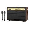 Wireless Bluetooth Speaker W-KING K6L 120W + 2 microphones (brown)