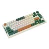 Wireless mechanical keyboard Royal Kludge RKH81 RGB, Sky cyan switch (green)