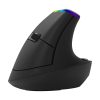 Vezeték nélküli függőleges egér Delux M618C 2.4G 1600DPI RGB (fekete)