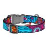 Nylon dog collar with QR code Waudog "Summer" size XL