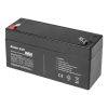 Maintenance-free AGM VRLA Battery Green Cell AGM14 6V 3.2Ah (for alarm system, cash register, toy)