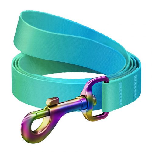 WAUDOG gradient nylon dog leash, length 122 cm blue