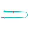 WAUDOG gradient nylon dog leash, 15mm wide, 122cm long, blue