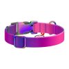 Waudog gradient nylon dog collar with QR code, purple , size XL