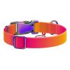 Nylon dog collar with QR code WAUDOG 15 mm wide, 25-35 cm long orange